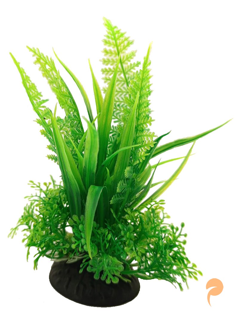 Фото2.Рослина, 6х4.5х12 см